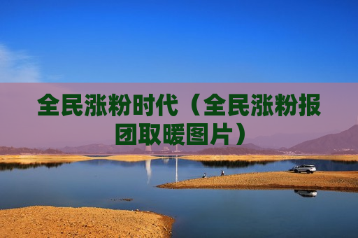 全民涨粉时代（全民涨粉报团取暖图片）