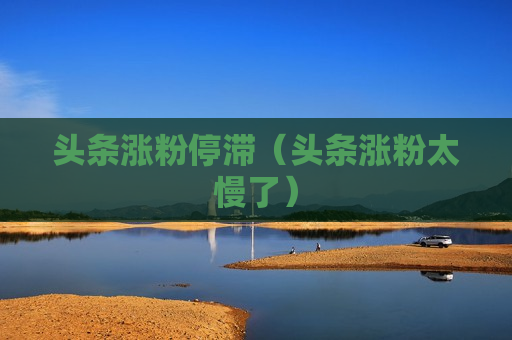 头条涨粉停滞（头条涨粉太慢了）