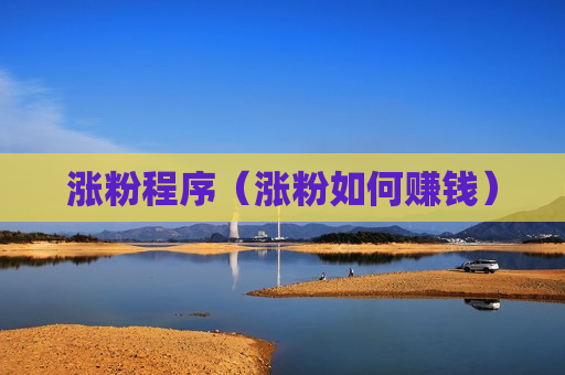 涨粉程序（涨粉如何赚钱）