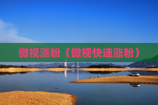 微视涨粉（微视快速涨粉）