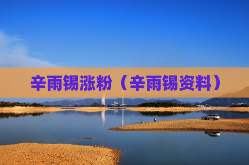 辛雨锡涨粉（辛雨锡资料）