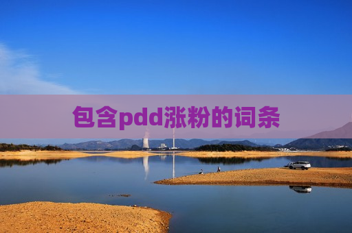 包含pdd涨粉的词条