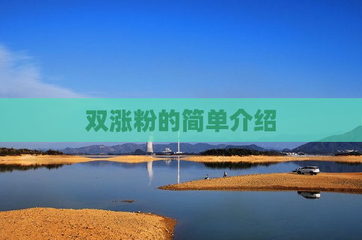 双涨粉的简单介绍