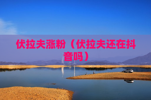 伏拉夫涨粉（伏拉夫还在抖音吗）