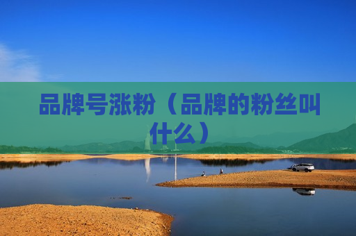 品牌号涨粉（品牌的粉丝叫什么）