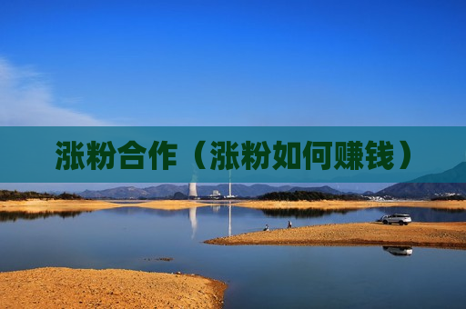 涨粉合作（涨粉如何赚钱）