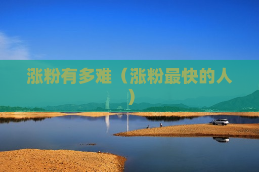 涨粉有多难（涨粉最快的人）