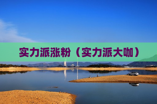 实力派涨粉（实力派大咖）