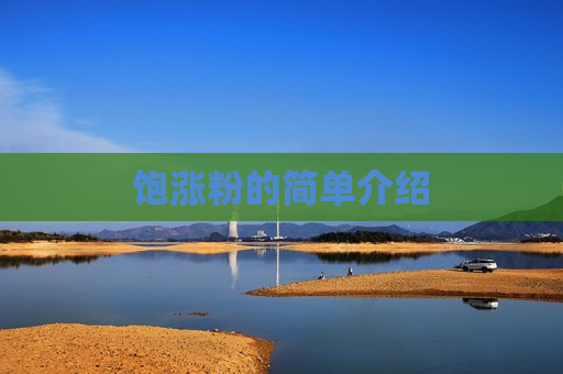 饱涨粉的简单介绍