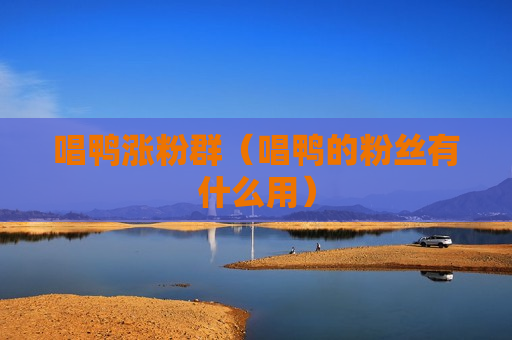唱鸭涨粉群（唱鸭的粉丝有什么用）