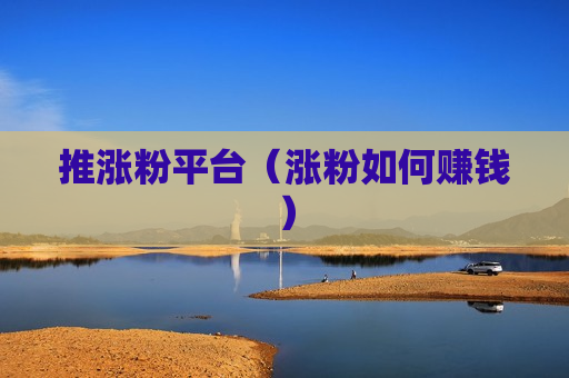 推涨粉平台（涨粉如何赚钱）