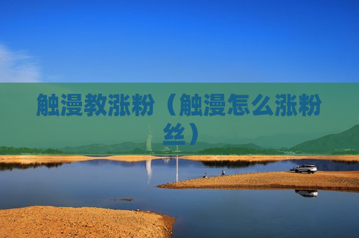 触漫教涨粉（触漫怎么涨粉丝）