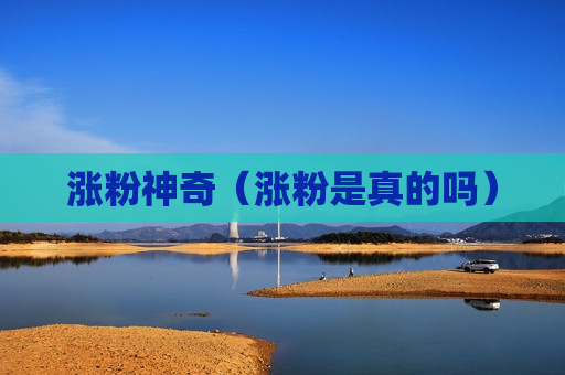 涨粉神奇（涨粉是真的吗）