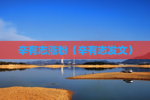 辛有志涨粉（辛有志发文）