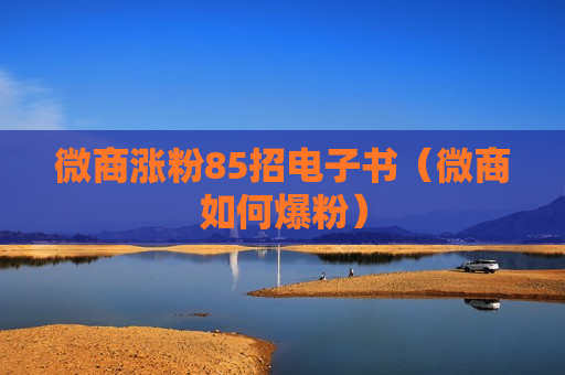 微商涨粉85招电子书（微商如何爆粉）