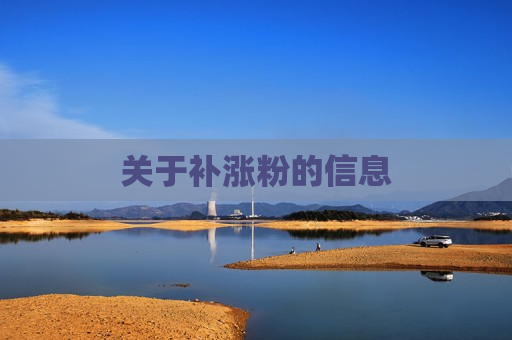 关于补涨粉的信息