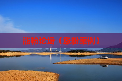 涨粉论坛（涨粉案例）