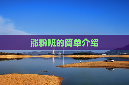 涨粉班的简单介绍