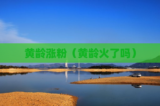 黄龄涨粉（黄龄火了吗）