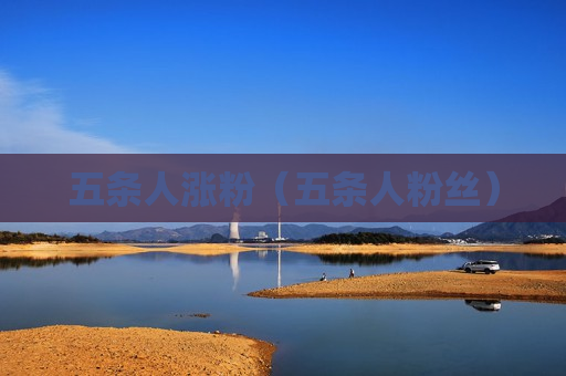 五条人涨粉（五条人粉丝）