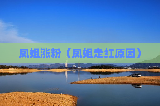 凤姐涨粉（凤姐走红原因）