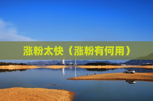 涨粉太快（涨粉有何用）
