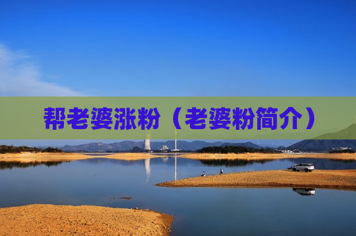 帮老婆涨粉（老婆粉简介）