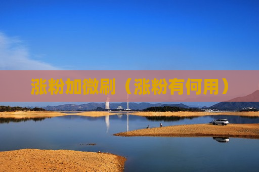 涨粉加微刷（涨粉有何用）