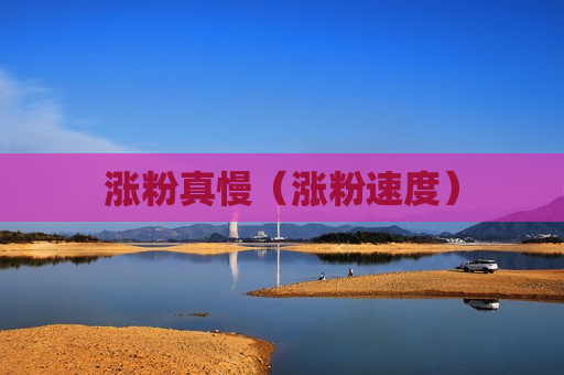 涨粉真慢（涨粉速度）