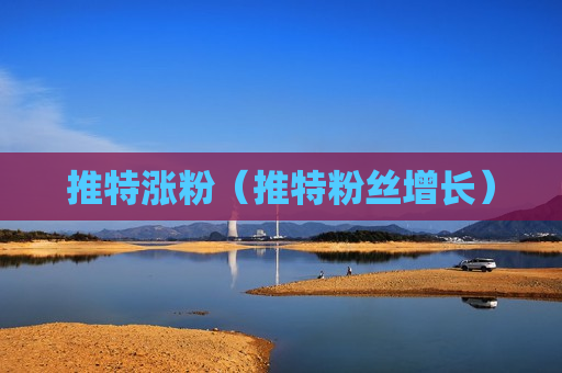 推特涨粉（推特粉丝增长）