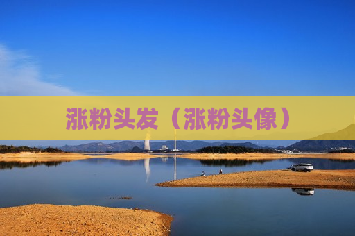 涨粉头发（涨粉头像）