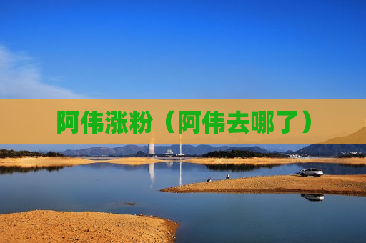 阿伟涨粉（阿伟去哪了）