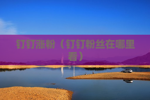 钉钉涨粉（钉钉粉丝在哪里看）