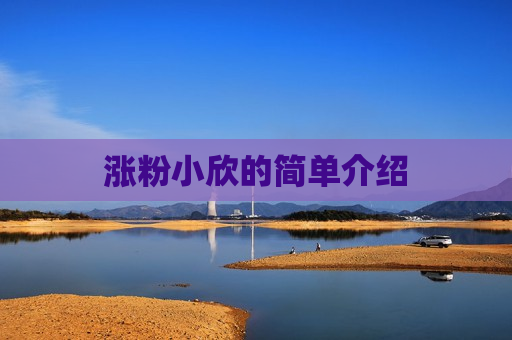 涨粉小欣的简单介绍
