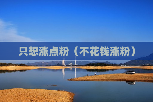 只想涨点粉（不花钱涨粉）