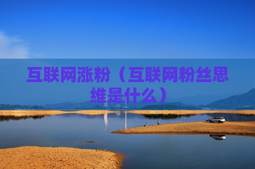 互联网涨粉（互联网粉丝思维是什么）