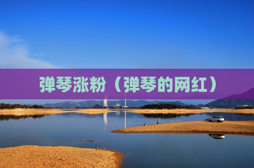 弹琴涨粉（弹琴的网红）