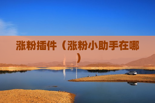 涨粉插件（涨粉小助手在哪）
