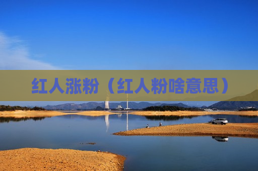 红人涨粉（红人粉啥意思）