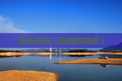 涨粉叫喊（涨粉的意思）
