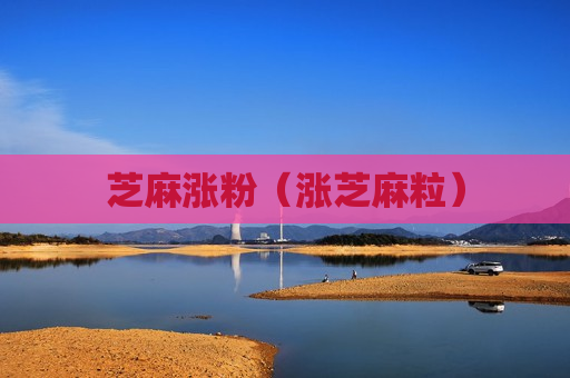 芝麻涨粉（涨芝麻粒）