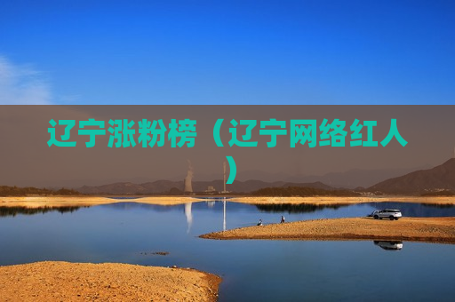 辽宁涨粉榜（辽宁网络红人）