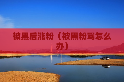 被黑后涨粉（被黑粉骂怎么办）
