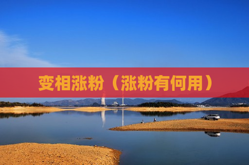 变相涨粉（涨粉有何用）
