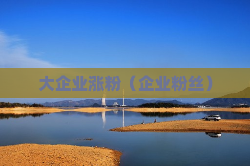 大企业涨粉（企业粉丝）