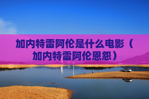 加内特雷阿伦是什么电影（加内特雷阿伦恩怨）