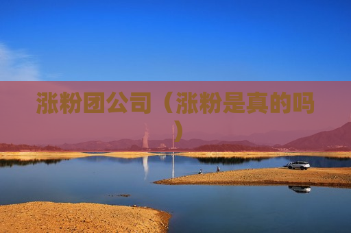 涨粉团公司（涨粉是真的吗）