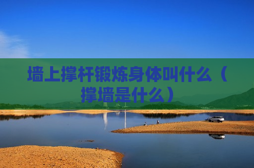 墙上撑杆锻炼身体叫什么（撑墙是什么）
