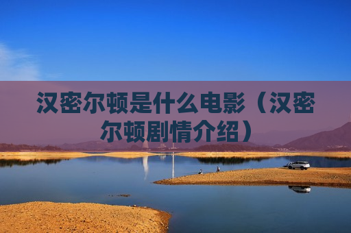 汉密尔顿是什么电影（汉密尔顿剧情介绍）