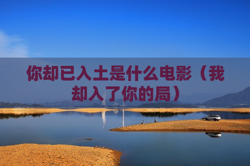 你却已入土是什么电影（我却入了你的局）